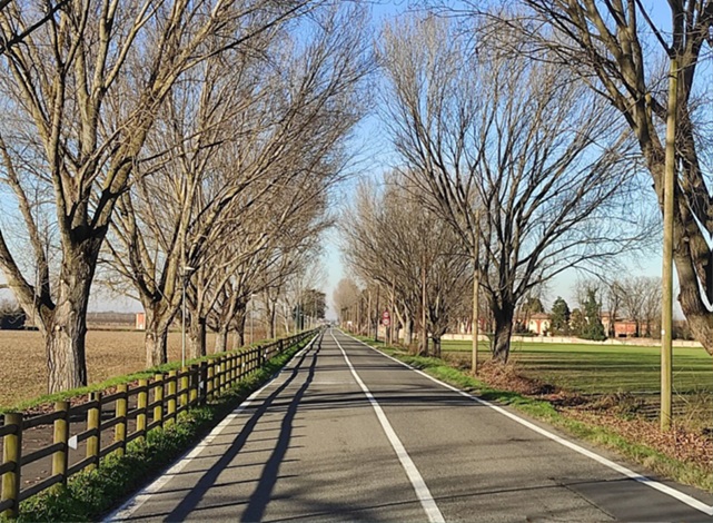 Come vai a scuola? In bicicletta! Al via il progetto per studenti e famiglie